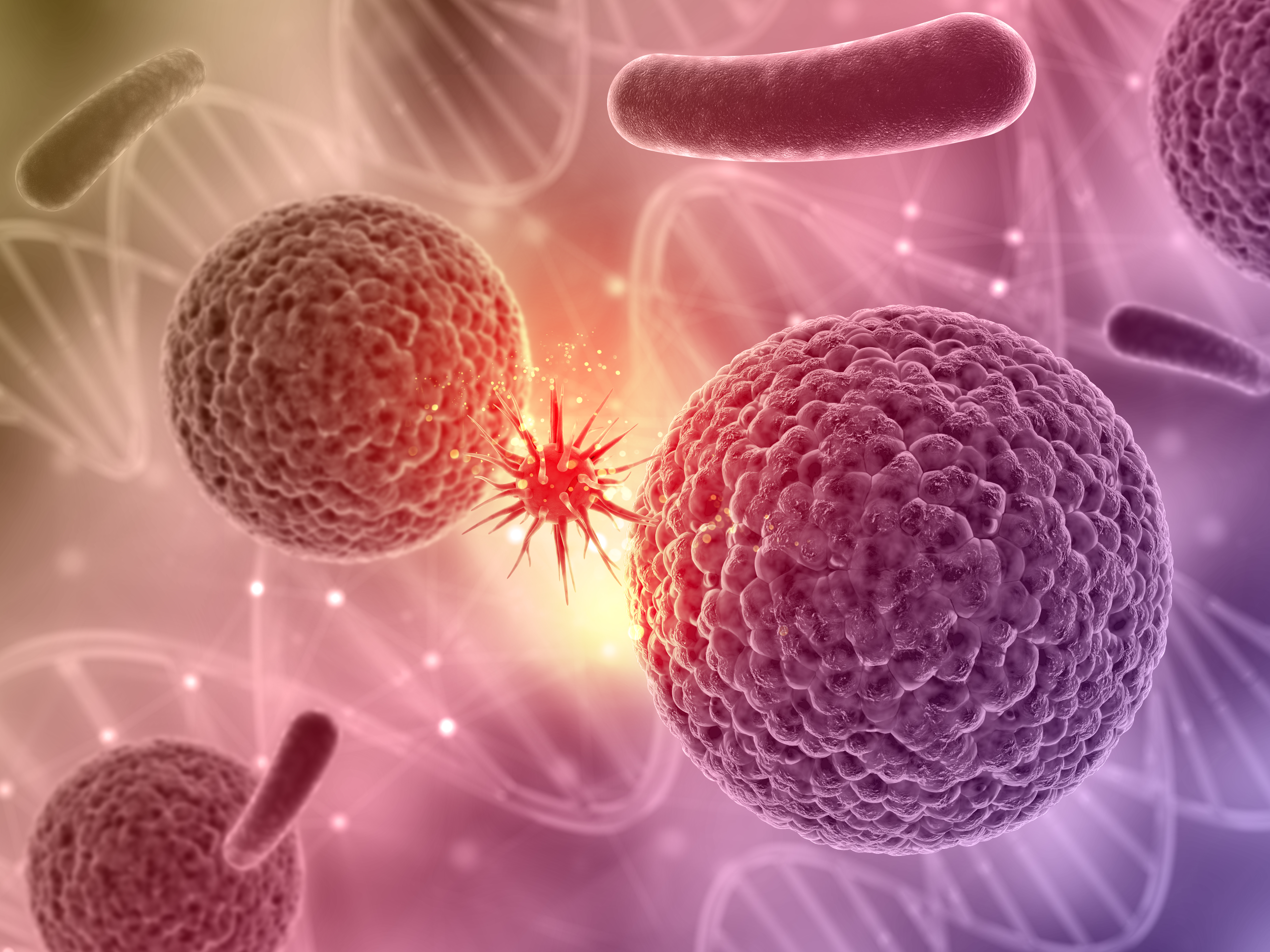 Read more about the article Entrevista 6/7 – El cáncer y el sistema inmune