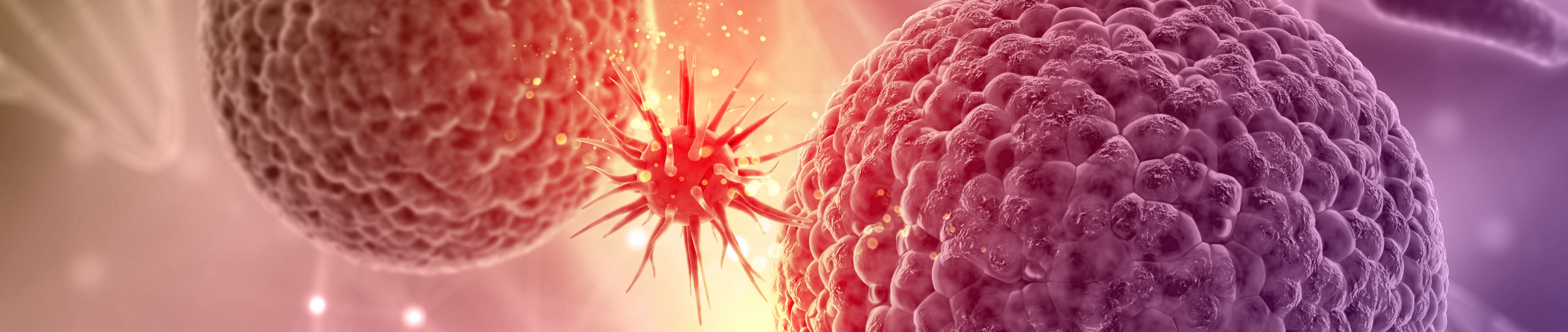 3D render of a medical background with a virus cell attacking another